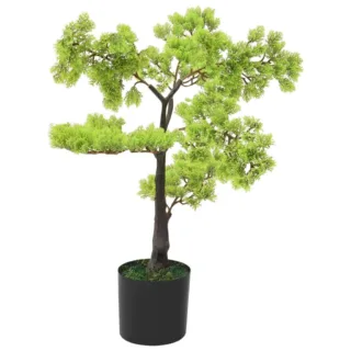 Kunsttaim, Küpress-Bonsai Potiga, Roheline
