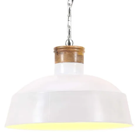 Tööstuslik Laelamp 42 Cm, E27
