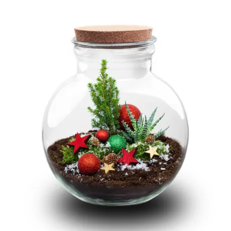 Tee-Ise terraarium – Jingle Christmas – Ø 25 cm ↑ 26,5 cm
