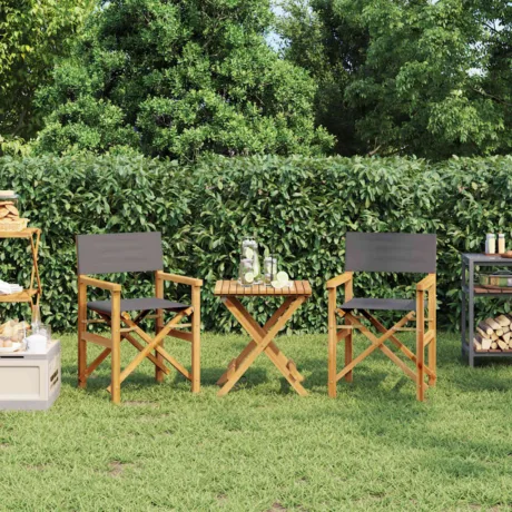 Kokkupandavad Režissööritoolid 2 Tk, Tiikpuu