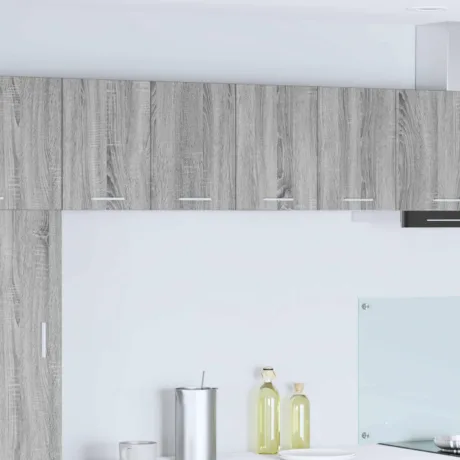 Seinakapp 2 Pcs Hall Sonoma Ja Valge 60 x 31 x 40 Cm Tehispuit